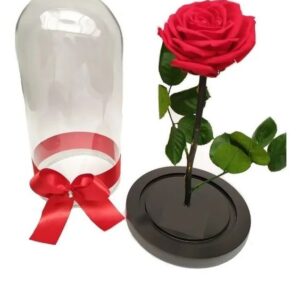 Rosas eternas VP