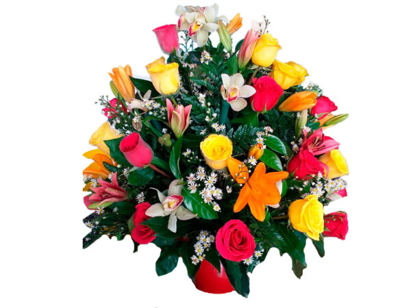 rosas a domicilio