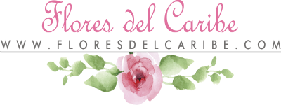 Flores del Caribe Valledupar