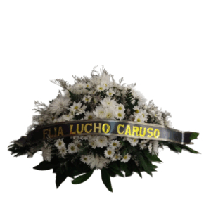 Fúnebre # V71