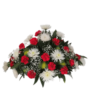 Fúnebre # V72