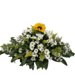 Fúnebre # V73