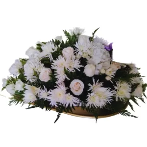Fúnebre # V81