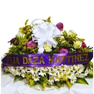 Fúnebre # V79