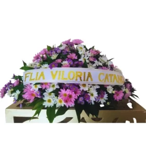 Fúnebre # V78